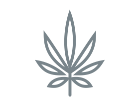 STERILE ENVIRONMENTS FOR CANNABIS PRODUCTION