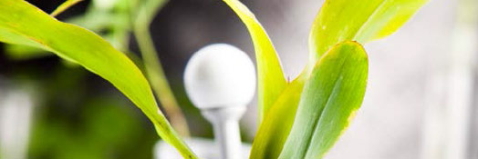 Clean Rooms Plus BIOTECHNOLOGY